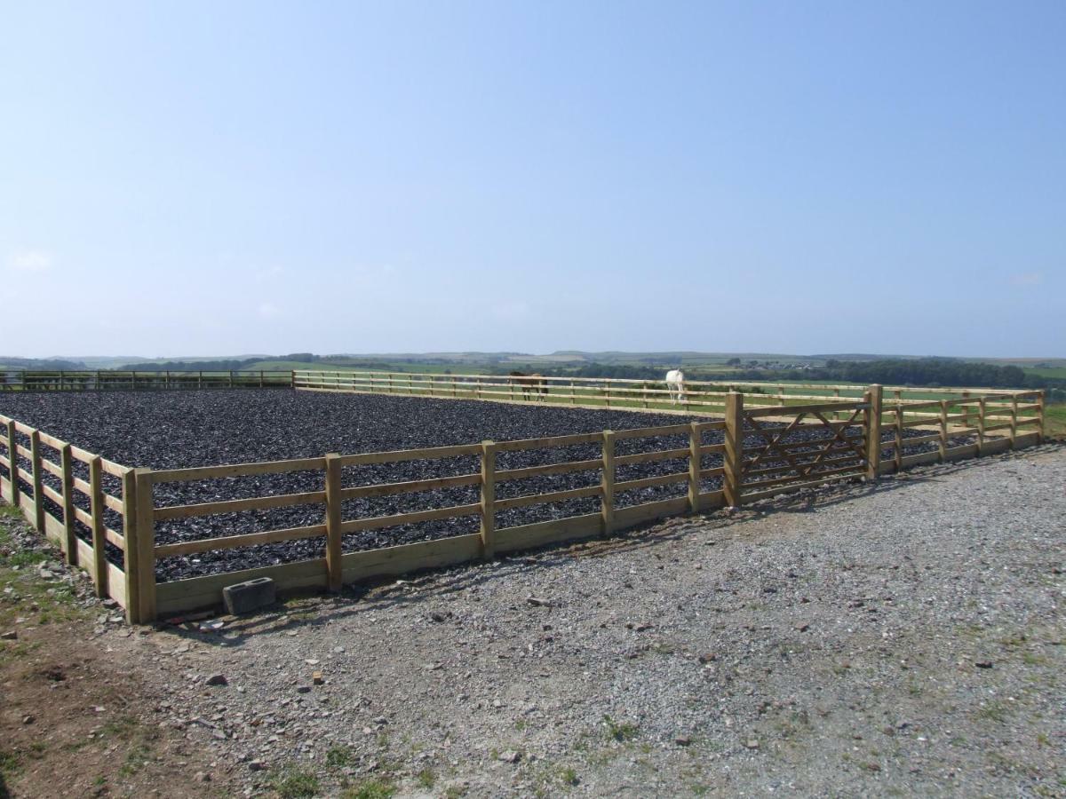 לינה וארוחת בוקר אבריסטוויט Llangwyryfon Country Breaks מראה חיצוני תמונה