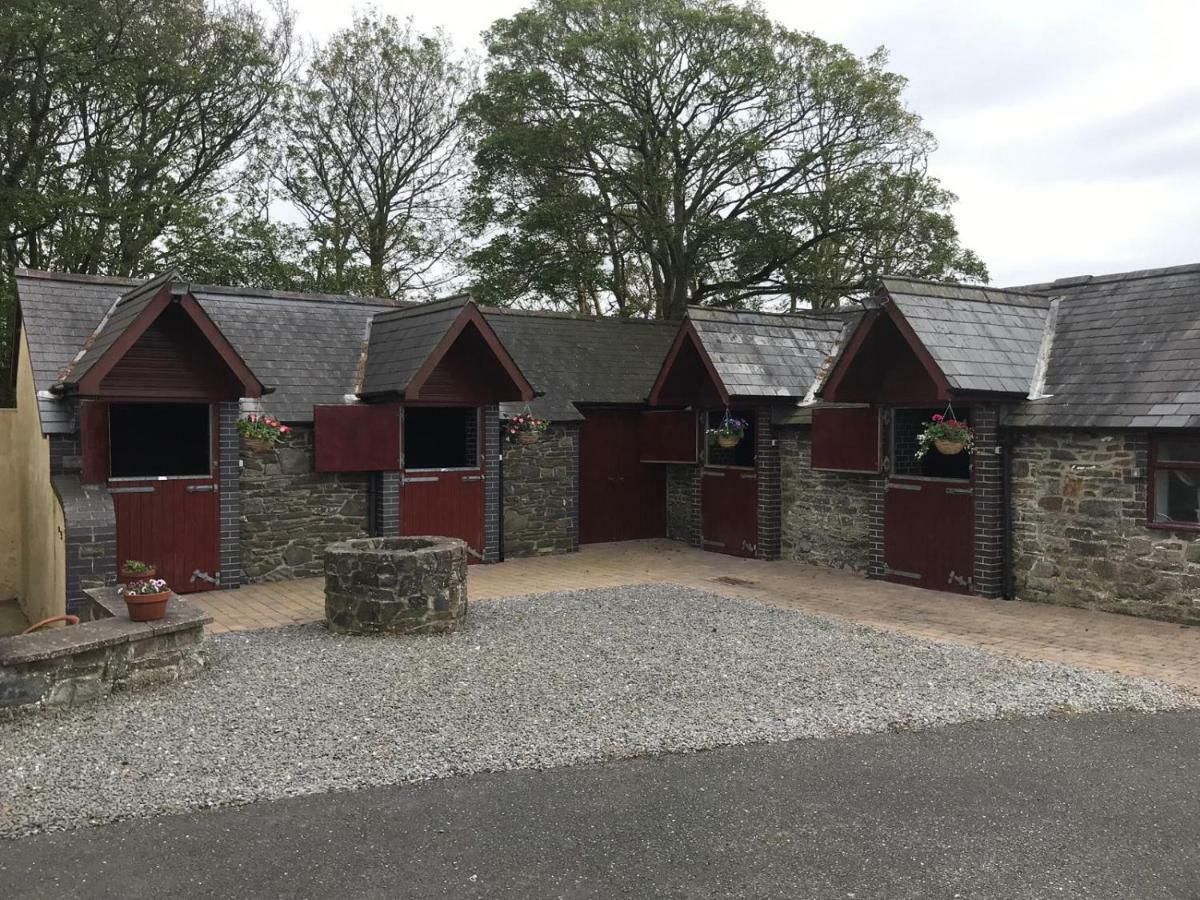 לינה וארוחת בוקר אבריסטוויט Llangwyryfon Country Breaks מראה חיצוני תמונה