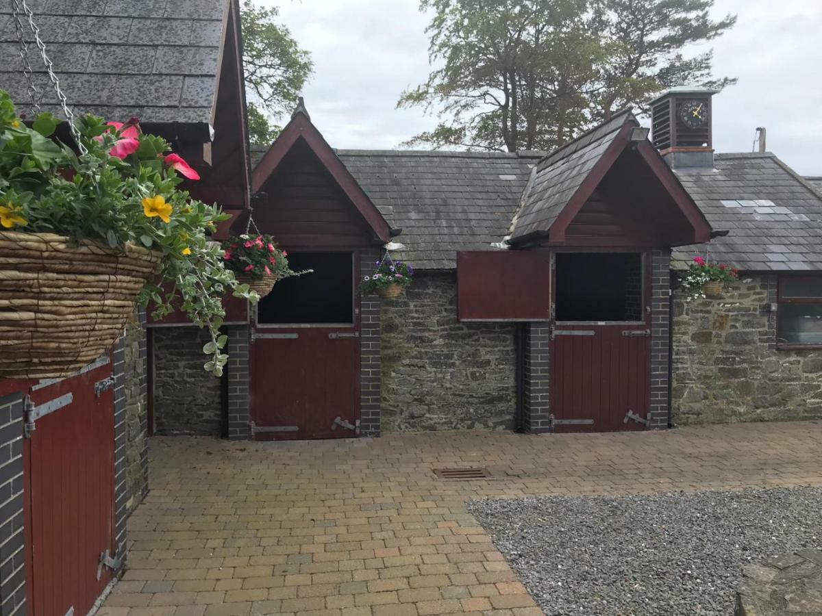 לינה וארוחת בוקר אבריסטוויט Llangwyryfon Country Breaks מראה חיצוני תמונה