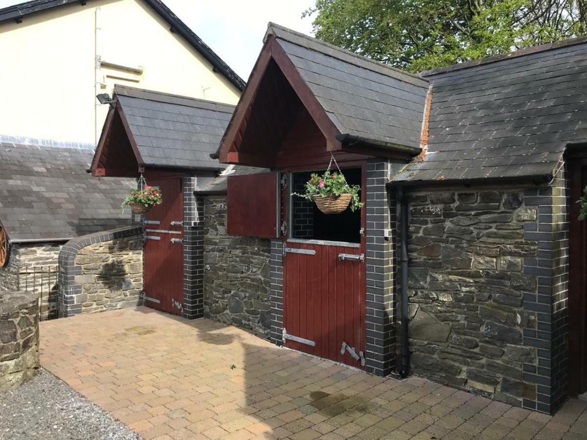 לינה וארוחת בוקר אבריסטוויט Llangwyryfon Country Breaks מראה חיצוני תמונה