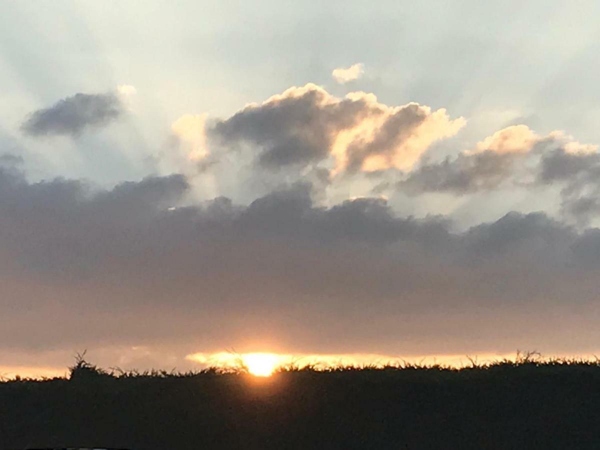 לינה וארוחת בוקר אבריסטוויט Llangwyryfon Country Breaks מראה חיצוני תמונה